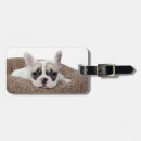 Suche nach bulldogge gepäckanhänger Welpe