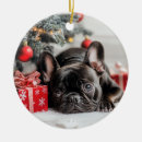 Suche nach frenchie ornamente Hund
