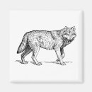 Recherche de loup gris magnets Sauvage