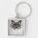 Recherche de chat de ragdoll porteclés Animal