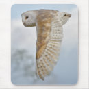 Suche nach im flug mousepads Raubvogel