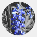 Recherche de capot autocollants Fleur