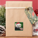 Recherche de panda noël autocollants Ours de panda