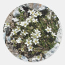 Recherche de alpin autocollants Montagneux