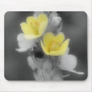 Suche nach käfer mousepads Blume