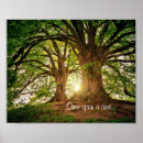 Suche nach fantasy forest poster Bäume