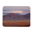 Recherche de chili magnets Chicane