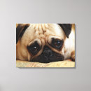 Suche nach niedlicher mops leinwandbilder Haustier
