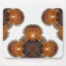 Suche nach wanzen mousepads Entomologie