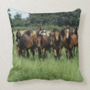 Recherche de pur sang coussins Herbe