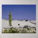 Recherche de sable blanc art Désert