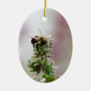 Suche nach biene ornamente Hummeln