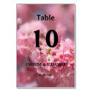 Recherche de de photographie cartes table Élégant