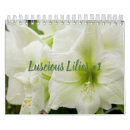Suche nach lilien kalender Blüten