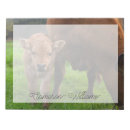 Suche nach kuh notizblock Rinder