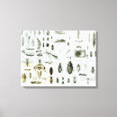 Recherche de mouche impressions sur toile Insectes