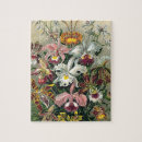 Recherche de orchidée puzzles Fleur