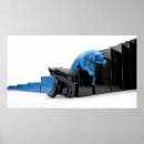 Suche nach aktien poster Stier
