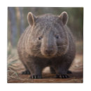Recherche de adorable carreaux Marsupial