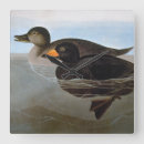 Recherche de peinture de canard horloges Granger
