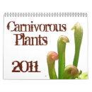 Suche nach pflanzen kalender Blume