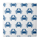 Recherche de verre carreaux Bleu et blanc