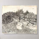 Suche nach olivenbäume poster Van gogh