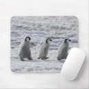 Suche nach baby pinguin mousepads Kaiserpinguin