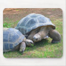 Suche nach schildkröte muschel mousepads Reptil