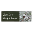Recherche de cône photographie Hiver