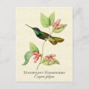 Recherche de colibris cartes postales Pour elle