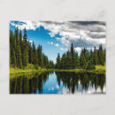 Suche nach evergreens postkarten Bäume