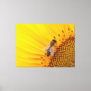 Suche nach bienen leinwandbilder Insekt