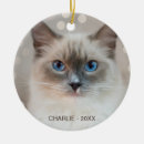 Suche nach furz ornamente Niedlich