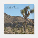 Suche nach joshua tree magnete Park