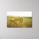 Suche nach wild west leinwandbilder Wilder westen