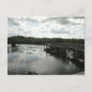 Suche nach everglades postkarten Park