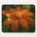Suche nach garten mit sonnenblumen mousepads Foto