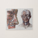 Suche nach menschliche anatomie puzzle Vintage