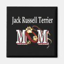 Recherche de jack russel magnets Animal