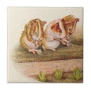 Suche nach gärten fliesen Für sie/ihn