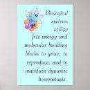 Suche nach ap poster Lehrer