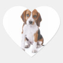 Recherche de beagles autocollants Chiot