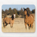 Suche nach wilde wilde pferde mousepads Stute