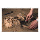 Suche nach überreste poster Archäologie