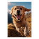 Recherche de golden retriever posters Dog