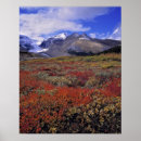 Recherche de paysage canadien posters Pittoresque
