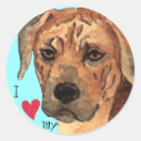 Suche nach ridgeback aufkleber Rassenstücke