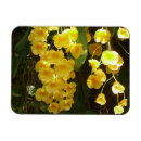 Recherche de accrocher magnets Nature