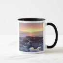Suche nach san diego tassen Usa